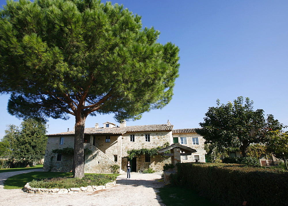 The agriturismo Pian del Tevere, close to Torgiano, Umbria, Italy, Europe
