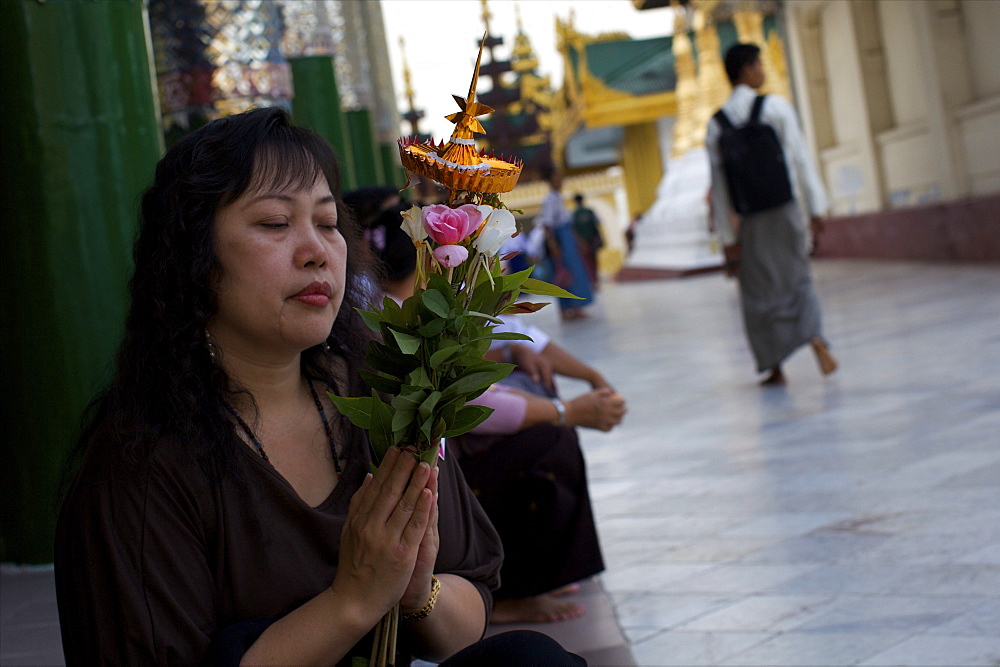 A woman praying in the Paya Shwedagon temple in Yangon (Rangoon), Myanmar (Burma), Asia