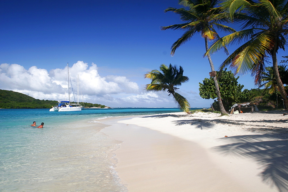 Swimming in the Tobago cays, close to Mayreau, Grenadines, Windward Islands, West Indies, Caribbean, Central America