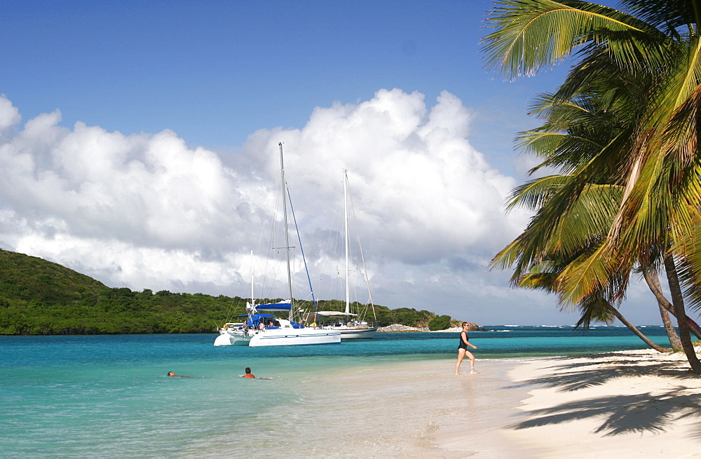 Swimming in the Tobago cays, close to Mayreau, Grenadines, Windward Islands, West Indies, Caribbean, Central America