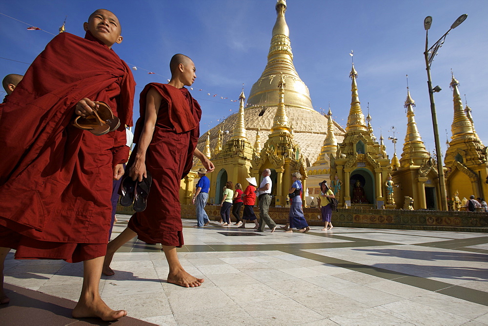 Monks at the Paya Shwedagon temple in Yangon (Rangoon), Myanmar (Burma), Asia