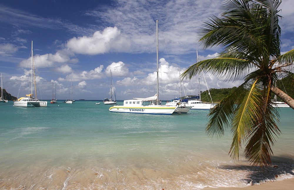 The beach of Salt Whistle Bay, Mayreau, Grenadines, Windward Islands, West Indies, Caribbean, Central America