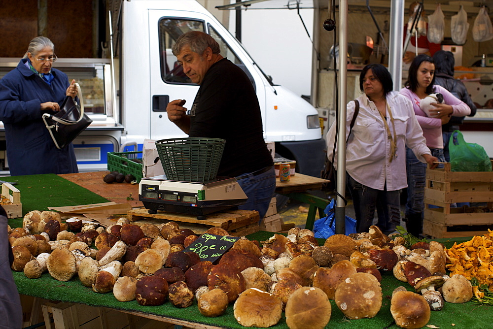 Mushrooms on a stall in the main daily market of Aix-en-Provence, Provence, France, Europe