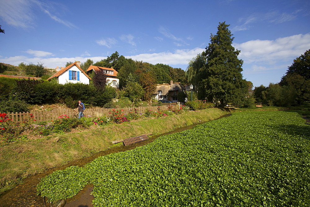 Watercress fields in Veules-les-Roses, Seine Maritime, Normandy, France, Europe