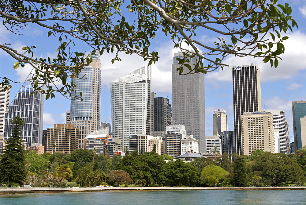 View of the city from the Botanic Gardens, Sydney, New South Wales, Australia, Pacific