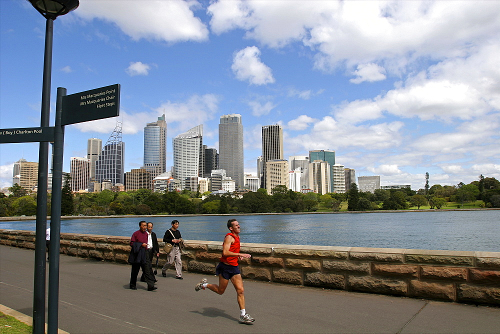 View of the city skyline, Sydney, New South Wales, Australia, Pacific