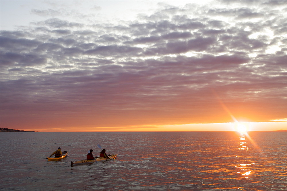 Kayaking and looking for whales at dawn on the Saint-Laurent river, in the Marine Park of the Saguenay Saint-Laurent, Les Bergeronnes, Quebec, Canada, North America