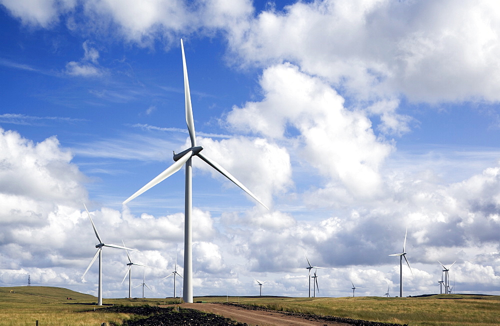 Whitelee Wind Farm, near Glasgow, Scotland, United Kingdom, Europe