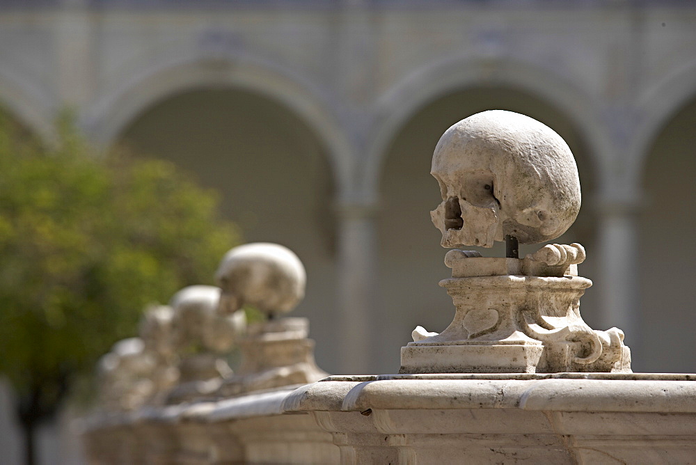 Certosa di San Martino monastery, skulls at the monksÔøO cemetery, Naples, Campania, Italy, Europe