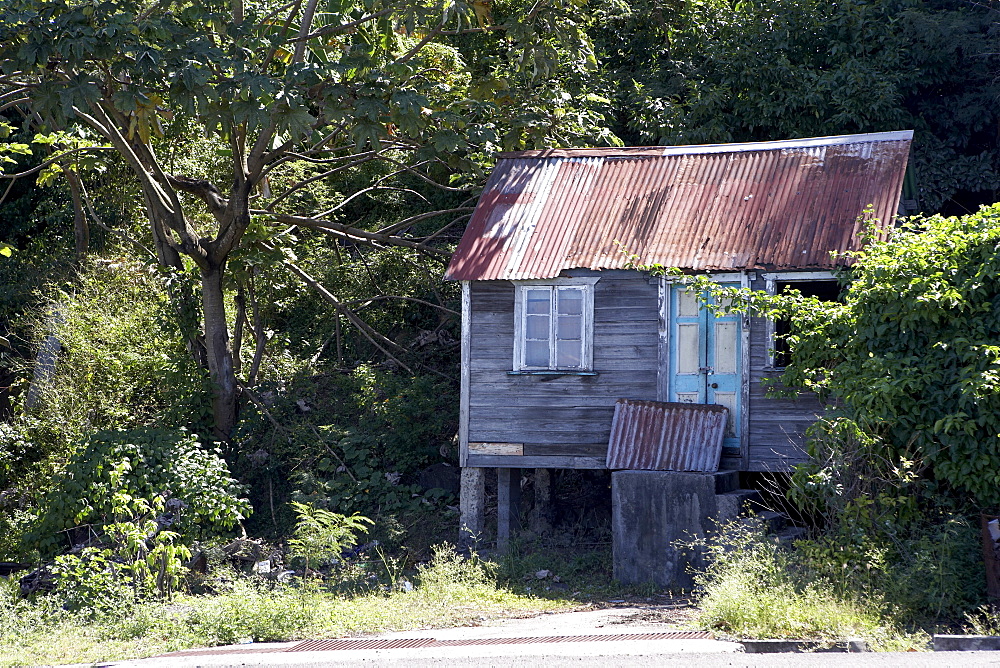 Dilapidated shack with corrugated iron roof, Grenada, Windward Islands, West Indies, Caribbean, Central America