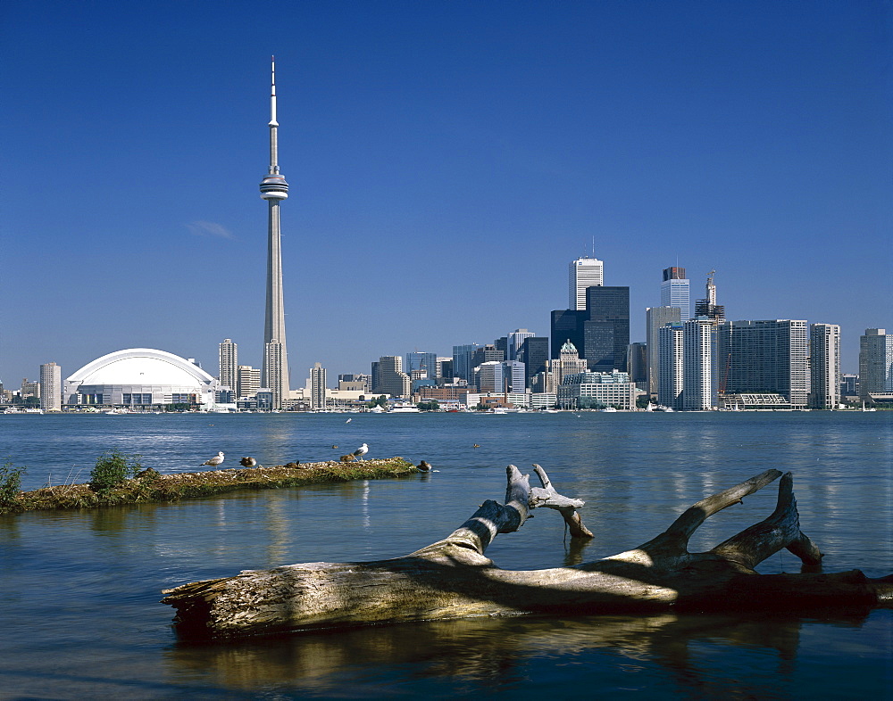 City skyline, Toronto, Ontario, Canada, North America