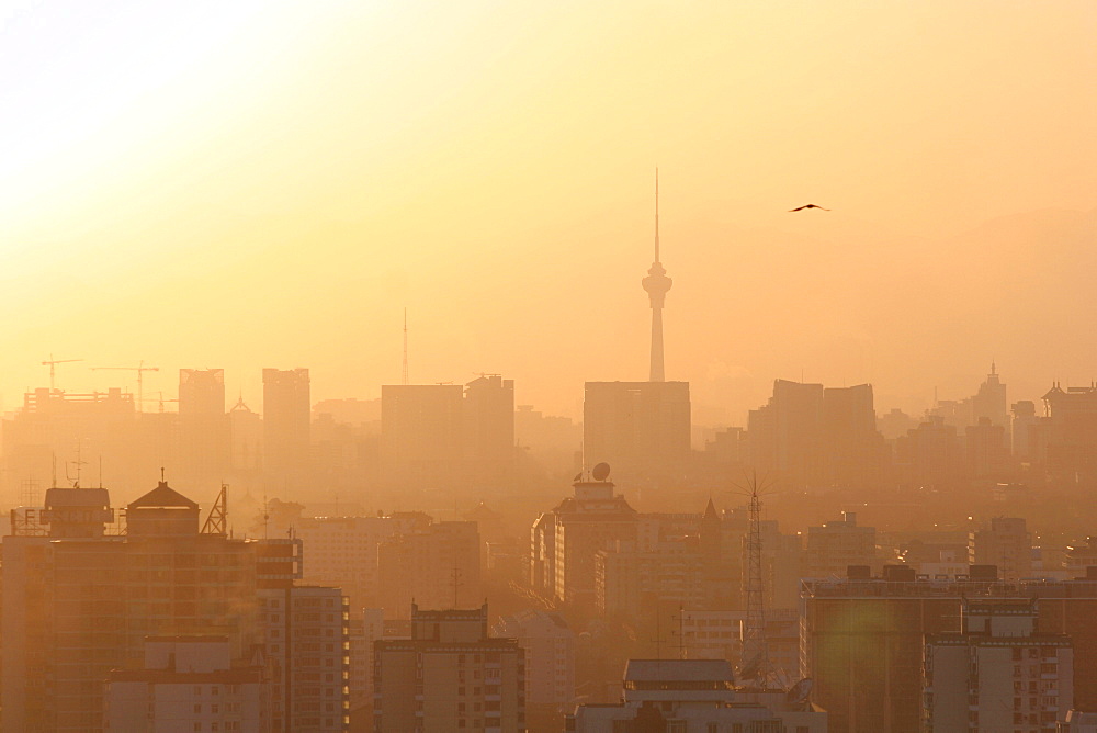 A view across rooftops in central Beijing, including the China Central TV tower, Beijing, China, Asia