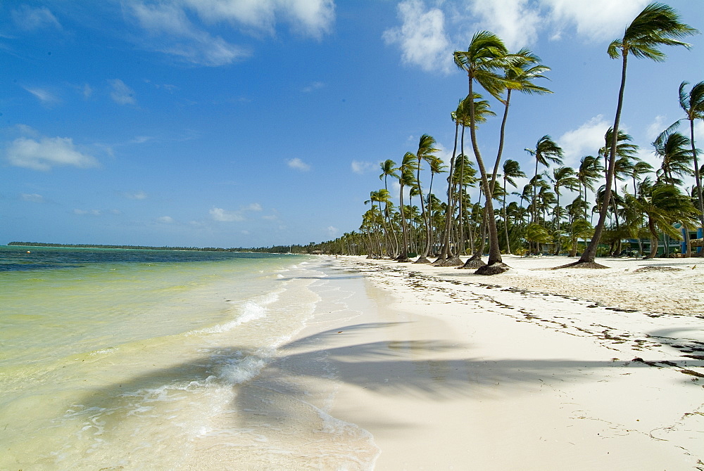 Bavaro Beach, near Punta Cana, Dominican Republic, West Indies, Caribbean, Central America