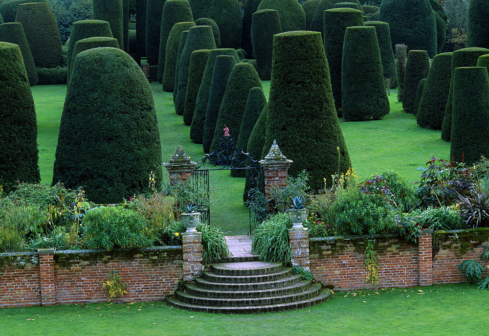 Topiary garden, Packwood House, Warwickshire, England, United Kingdom, Europe