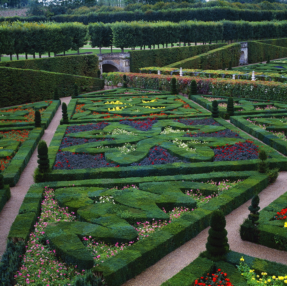 Box hedges, topiary shapes and dwarf dahlias in the Garden of Love, Chateau de Villandry, UNESCO World Heritage Site, Pays de la Loire, France, Europe