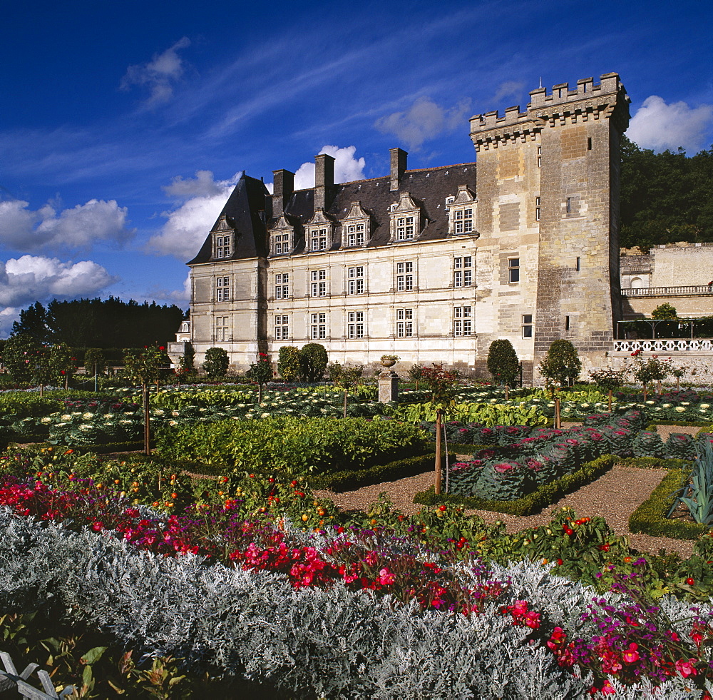 The Great Ornamental Potager at the Chateau de Villandry, UNESCO World Heritage Site, Pays de la Loire, France, Europe