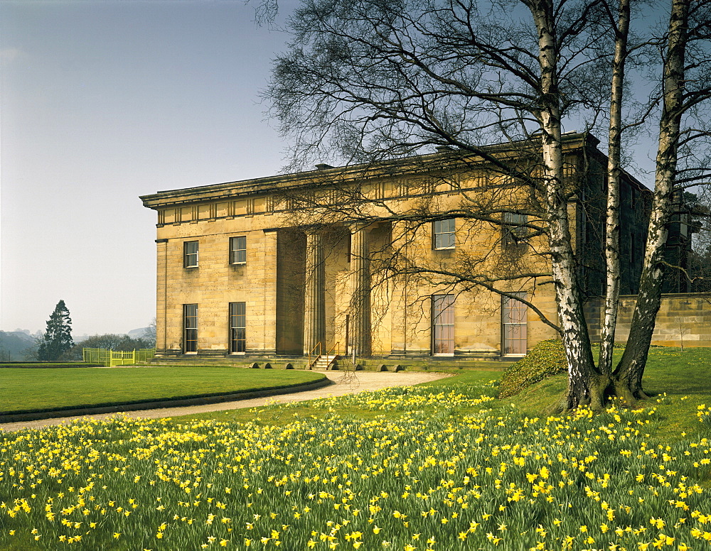 East front of Belsay Hall dating from 1817, in spring with daffodils, Northumberland, England, United Kingdom, Europe