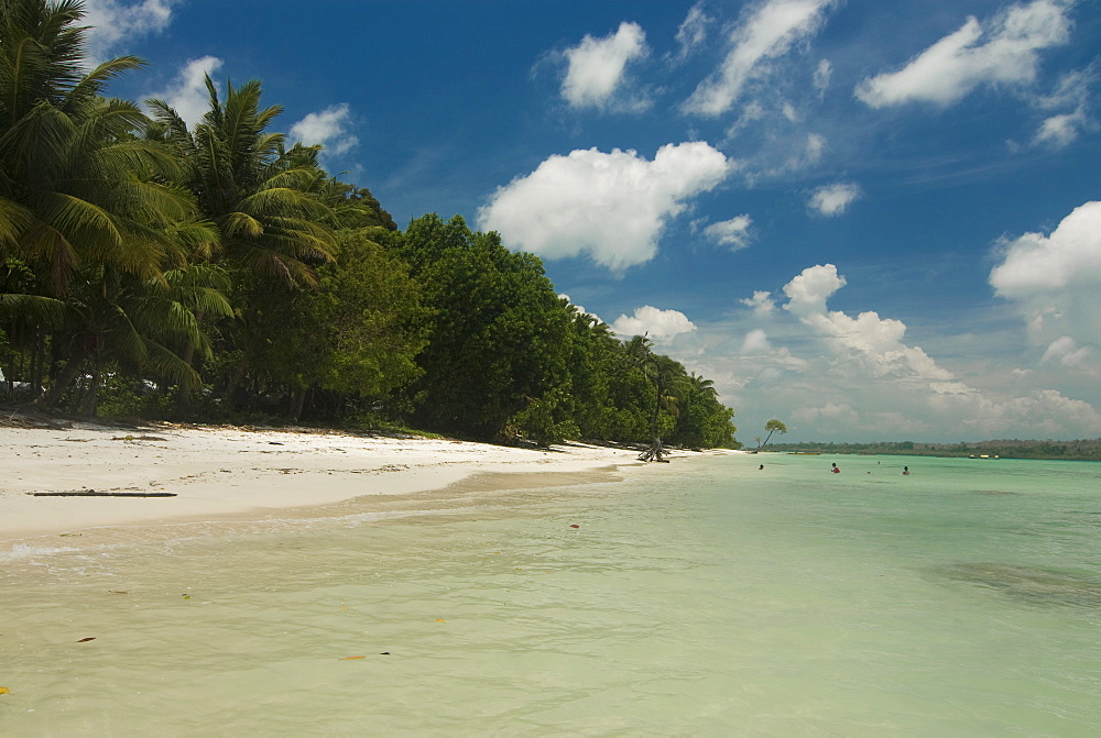 Untouched beach, Havelock Island, Andaman Islands, India, Indian Ocean, Asia