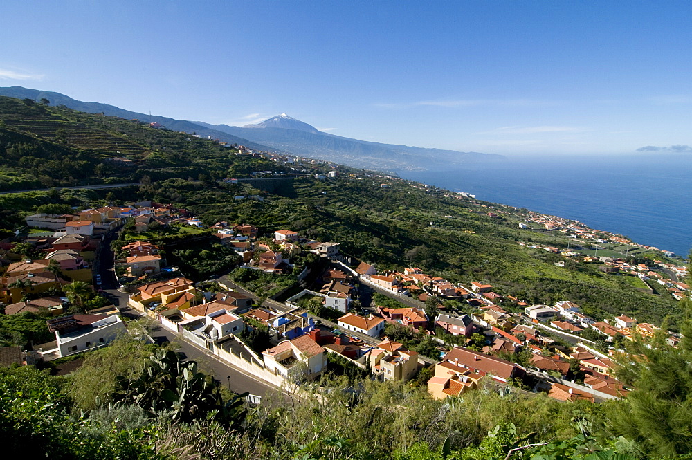 The village of Sauzal with the volcano of El Teide in the distance, Tenerife, Canary Islands, Spain, Europe