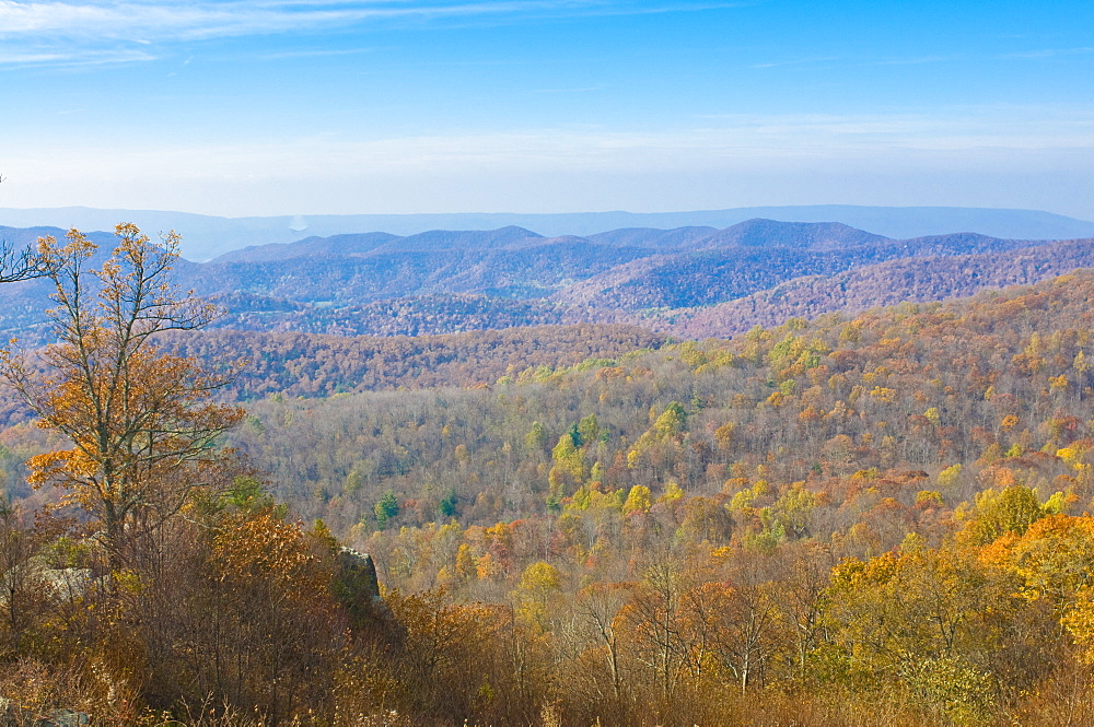 View over the Shenandoah National Park with beautiful foliage in the Indian summer, Virginia, United States of America, North America