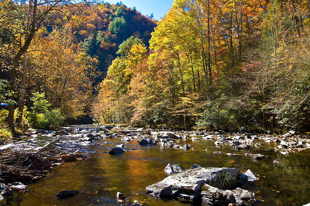 River and colourful foliage in the Indian summer, Great Smoky Mountains National Park, UNESCO World Heritage Site, Tennessee, United States of America, North America