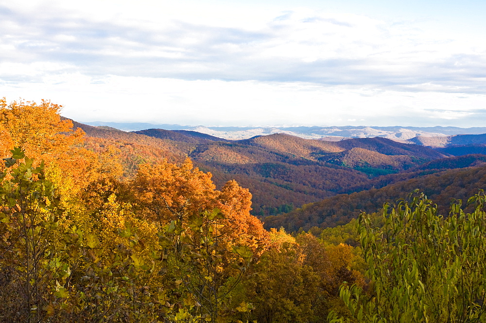 Colourful foliage in the Indian summer, Blue Ridge Mountain Parkway, North Carolina, United States of America, North America