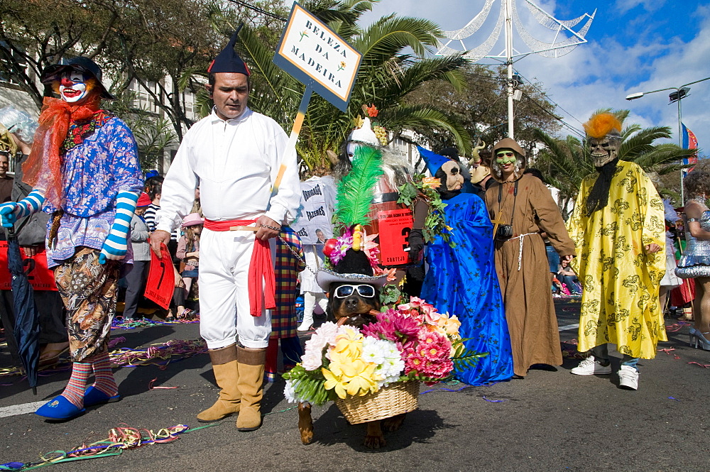 Carnival in Funchal, Madeira, Portugal, Europe