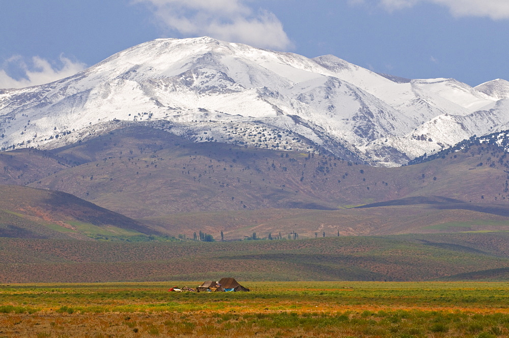 Lonely hut in the High Atlas, Morocco, North Africa, Africa