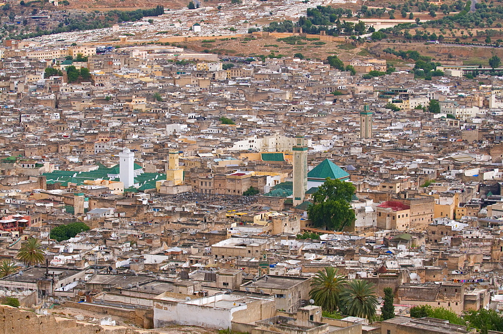 View over of the old Medina of Fez, UNESCO World Heritage Site, Morocco, North Africa, Africa