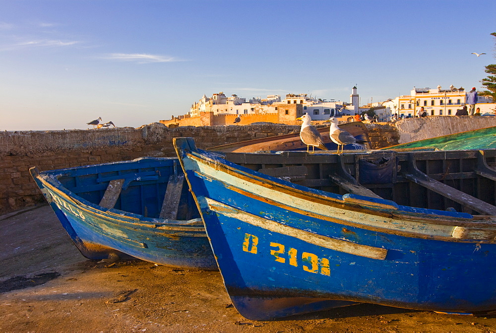 Fishing boats in the coastal city of Essaouira, Morocco, North Africa, Africa