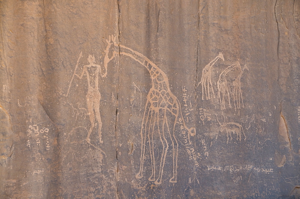 Rock inscription, Tassili n'Ajjer, UNESCO World Heritage Site, Algeria, North Africa, Africa