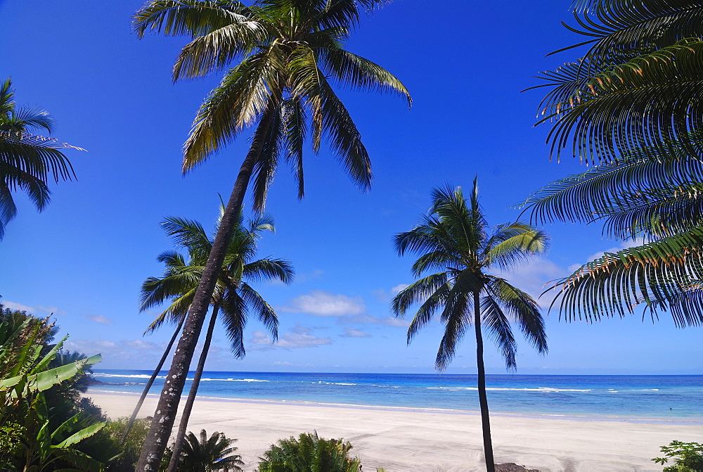 Beautiful sandy beach and palms at Ngazidja, Grand Comore, Comoros, Indian Ocean, Africa