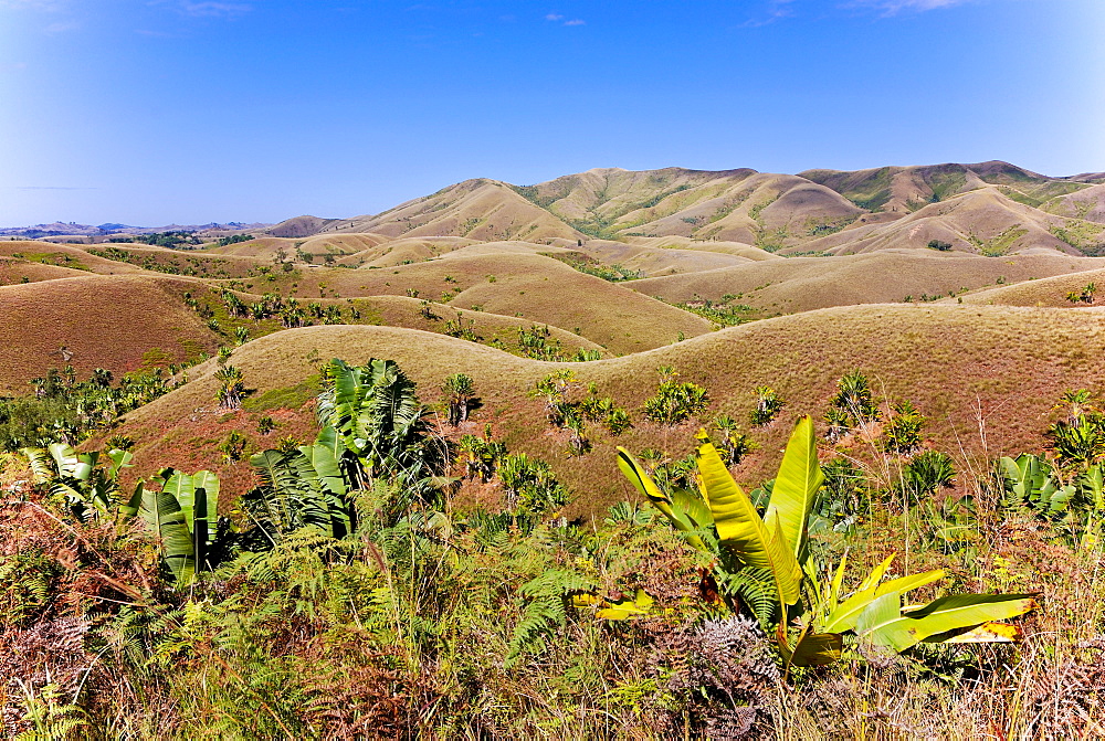 Deforested hills near Manakara, Madagascar, Africa