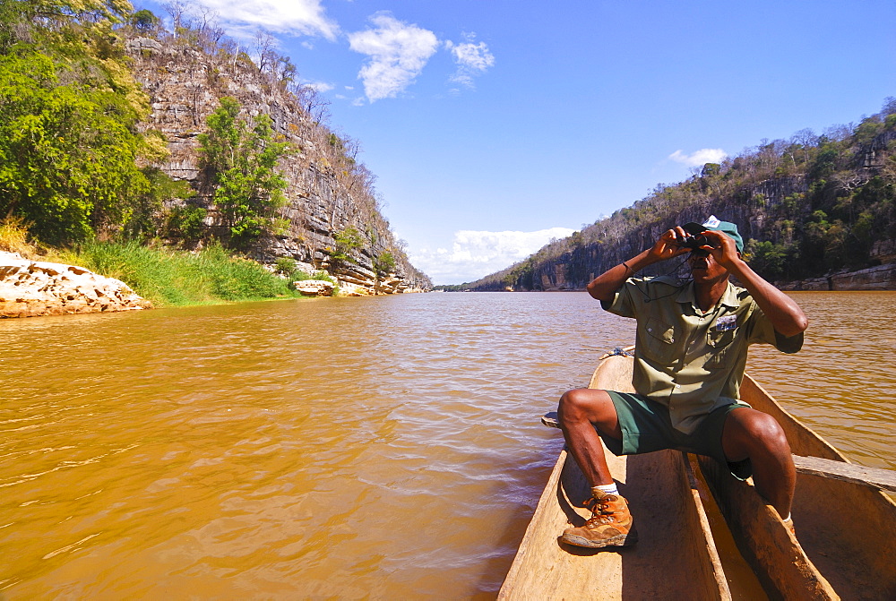 Guide looking out for birds on the Manambolo River, Tsingy de Bemaraha, Madagascar, Africa