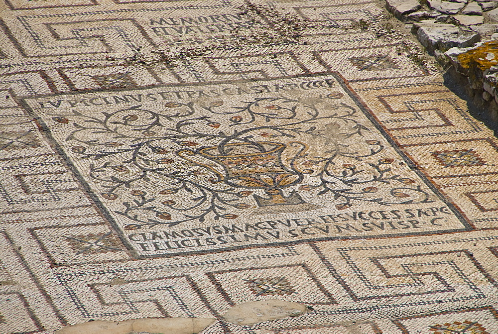 Mosaics in the 6th century Euphrasian Basilica, UNESCO World Heritage Site, Porec, Istria, Croatia, Europe