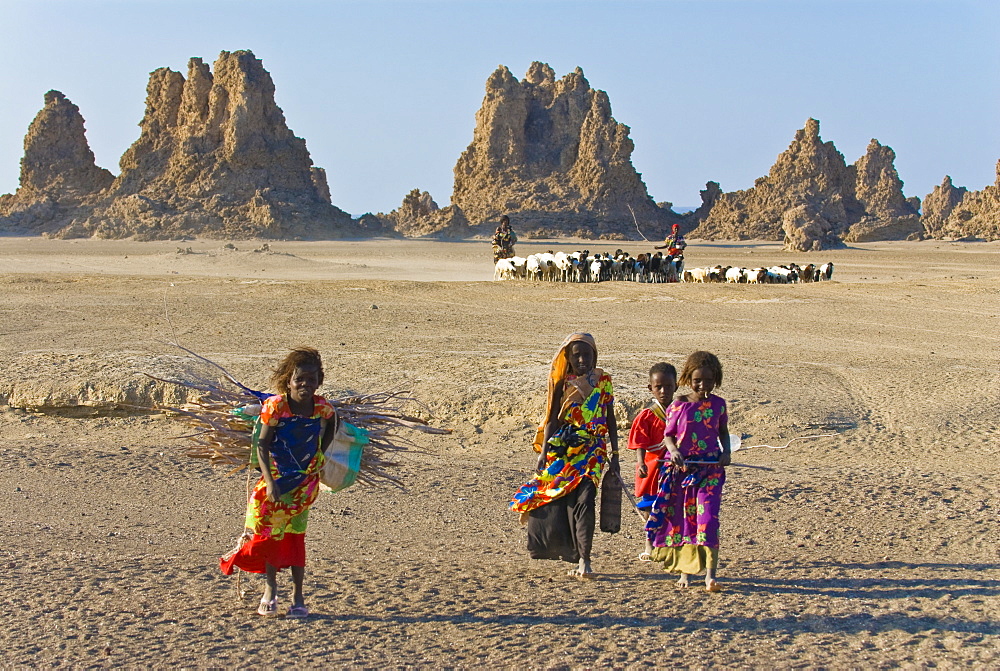 Local Afar children with their sheep, Lac Abbe (Lake Abhe Bad) with its chimneys, Republic of Djibouti, Africa