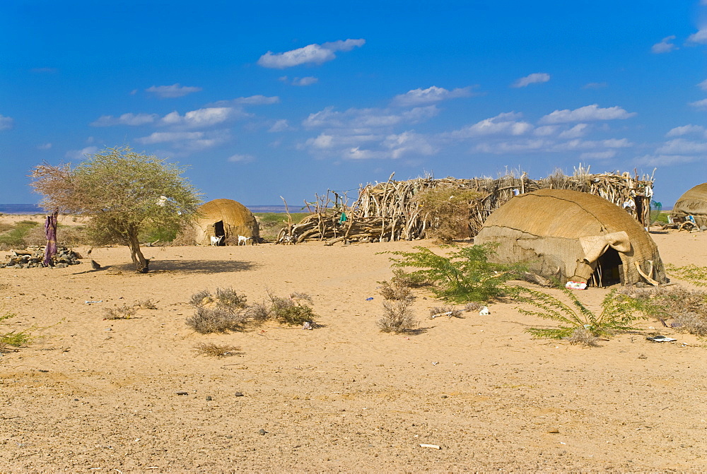 Small tents of Somali refugees on the way to Lac Abbe, Republic of Djibouti, Africa