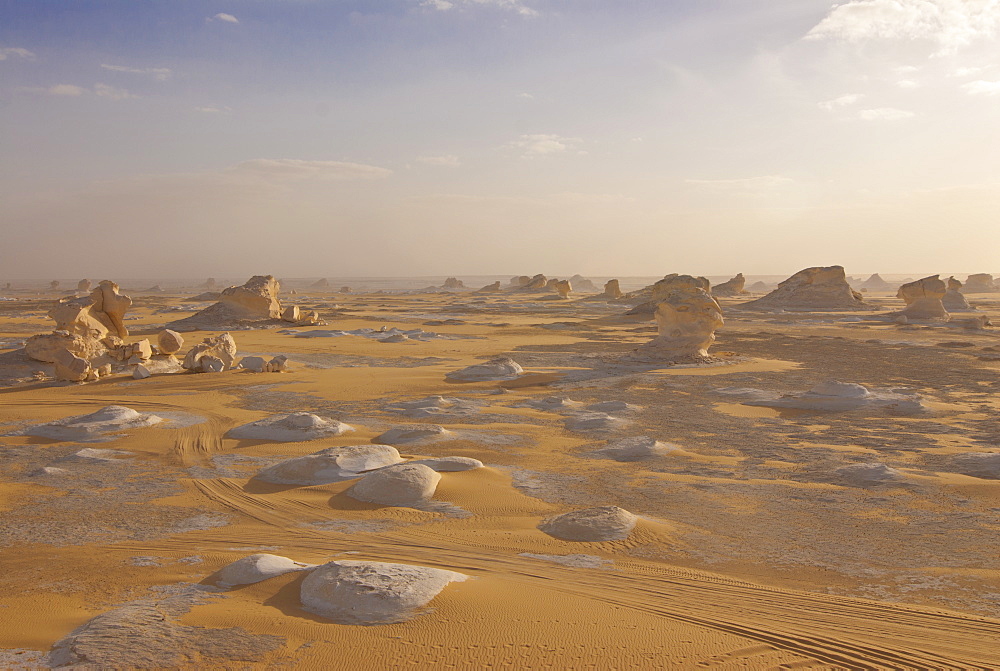 Wind-eroded sculptures of calcium rich rock in The White Desert near Bahariya, Egypt, North Africa, Africa