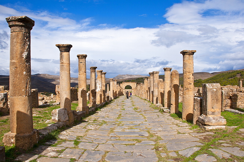 The Roman ruins of Djemila, UNESCO World Heritage Site, Algeria, North Africa, Africa