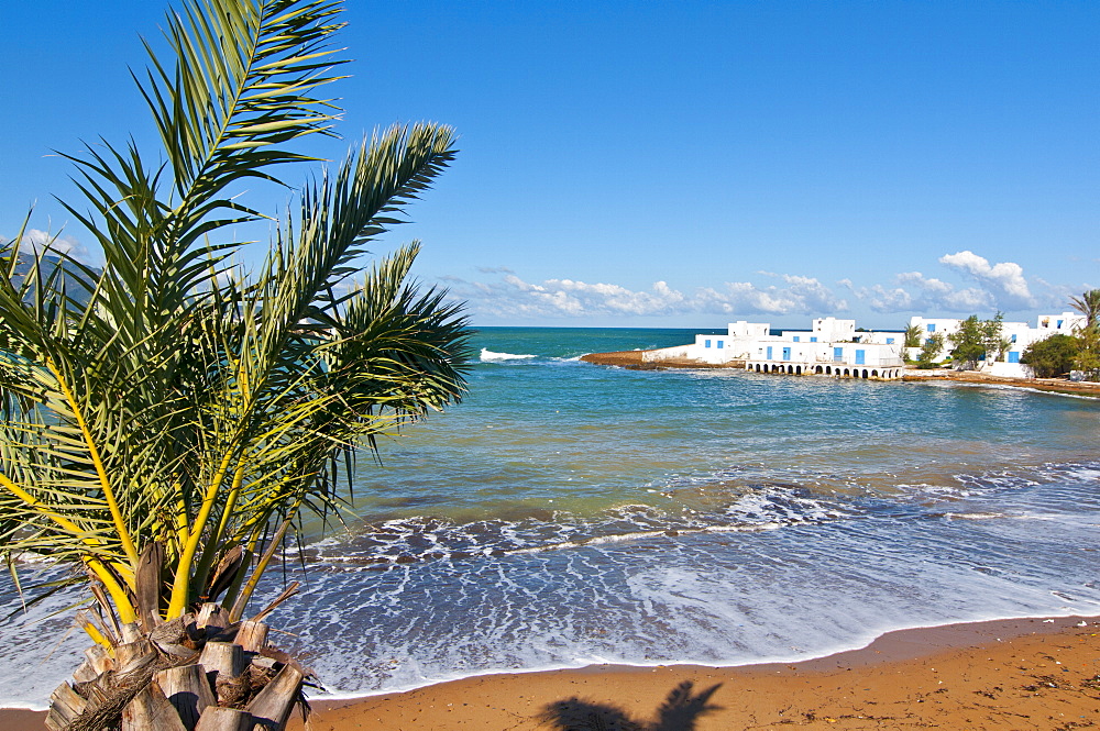 Palm and beach at beach resort on the Mediterranean coast near Tipasa, Algeria, North Africa