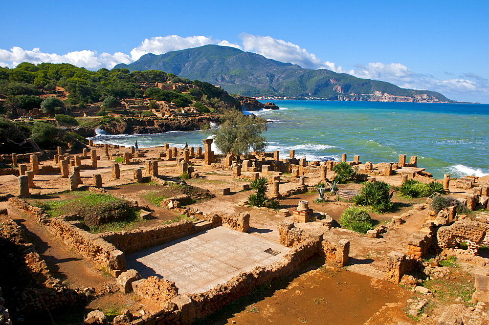 Roman ruins of Tipasa, UNESCO World Heritage Site, on the Algerian coast, Algeria, North Africa, Africa