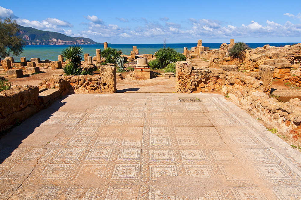 Mosaics at the Roman ruins of Tipasa, UNESCO World Heritage Site, on the Algerian coast, Algeria, North Africa, Africa