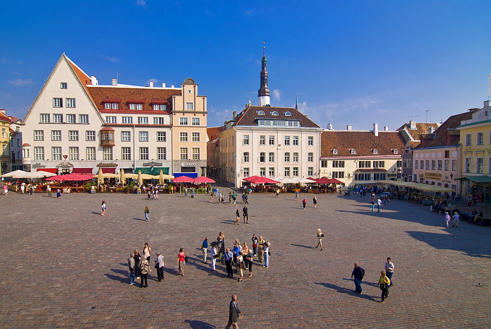 Raekoja Plats (Town Hall Square), Old Town of Tallinn, UNESCO World Heritage Site, Estonia, Baltic States, Europe