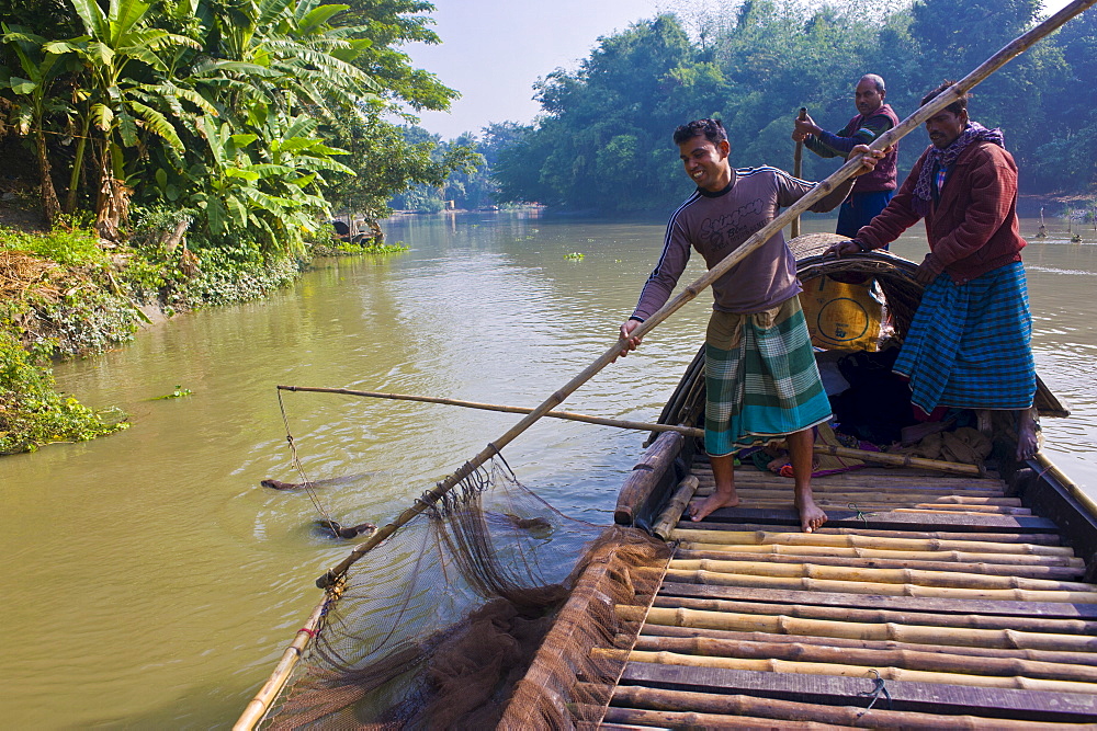 Unique fishing method with fish otters, Bangladesh, Asia