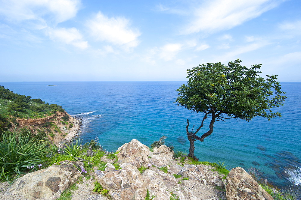 The turquoise waters on the Akamas peninsula, Cyprus, Mediterranean, Europe