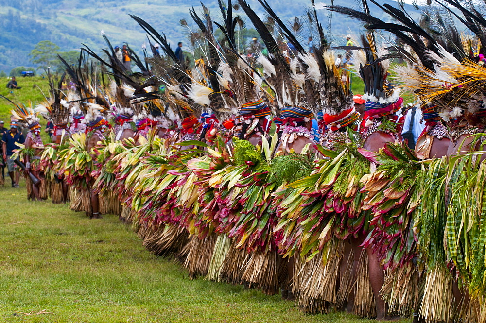 Colourfully dressed and face painted local tribes celebrating the traditional Sing Sing in the Highlands, Papua New Guinea, Pacific