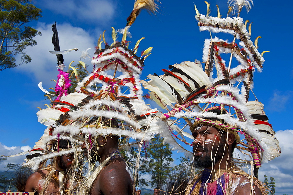 Colourfully dressed and face painted local tribes celebrating the traditional Sing Sing in the Highlands of Papua New Guinea, Pacific