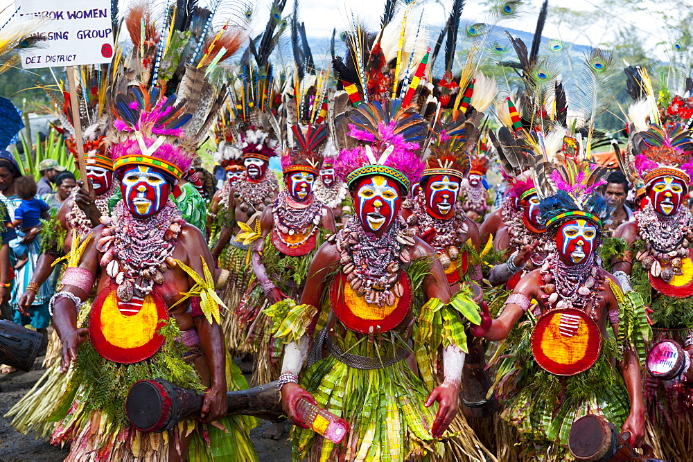 Colourfully dressed and face painted local tribes celebrating the traditional Sing Sing in the Highlands of Papua New Guinea, Pacific