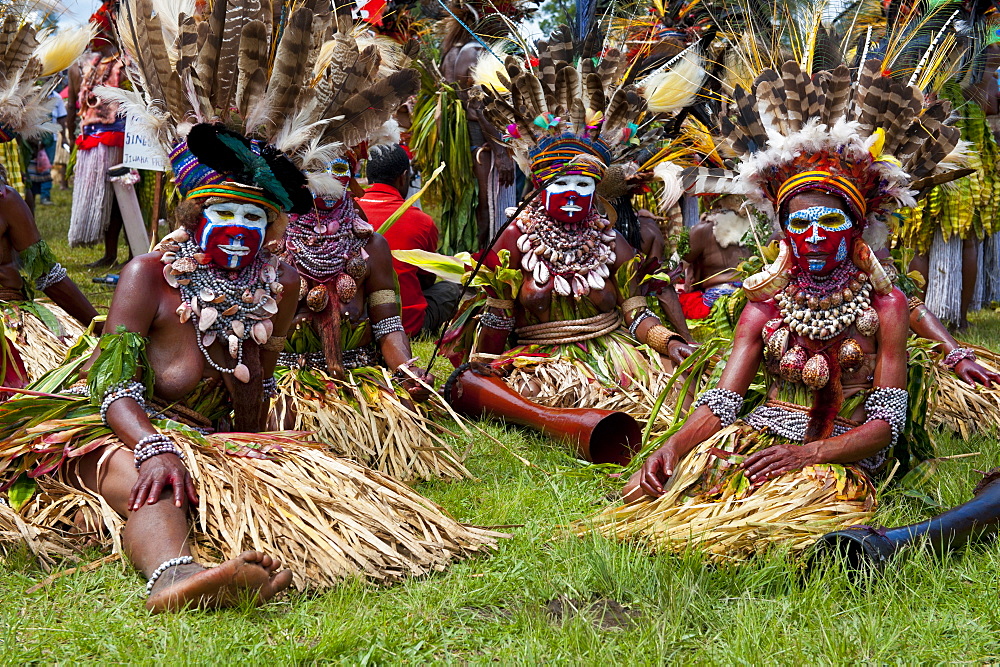 Colourfully dressed and face painted local tribes celebrating the traditional Sing Sing in the Highlands of Papua New Guinea, Pacific