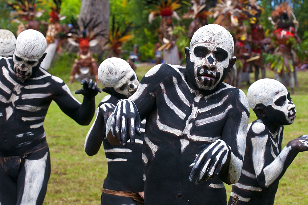 Face and body painted local tribes celebrating the traditional Sing Sing in Paya, Papua New Guinea, Melanesia, Pacific